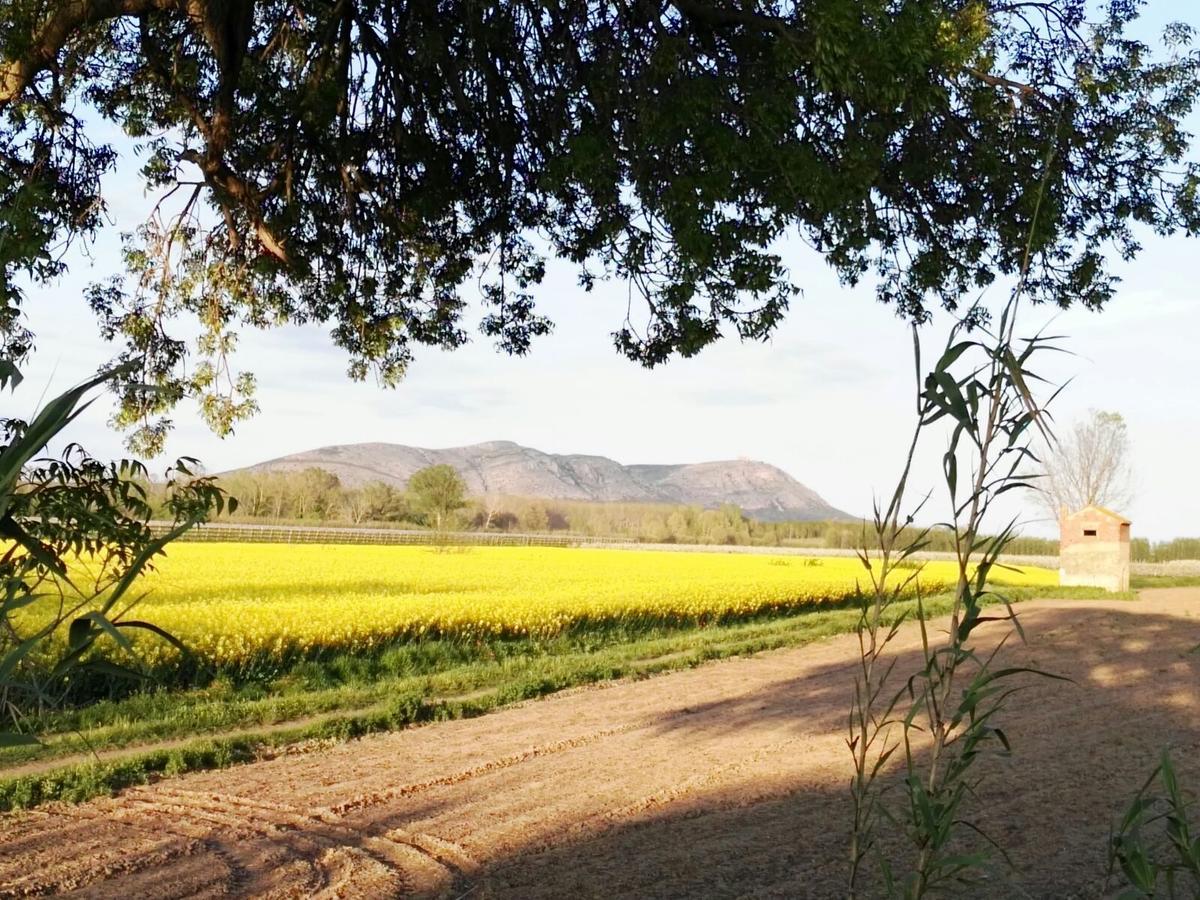 Campsite Rural Montori *