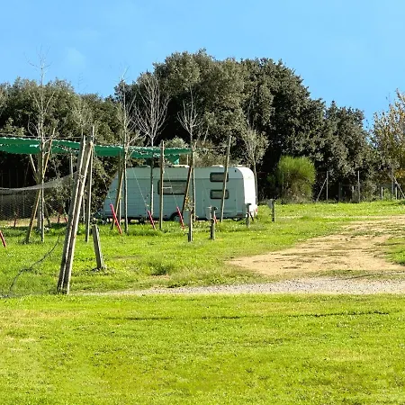 Camping Rural Montori Ultramort Exterior photo